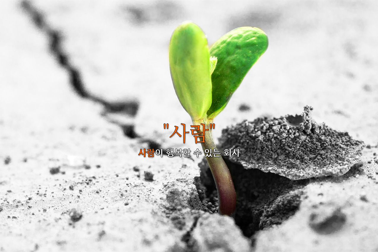 회사뉴스 작성 테스트